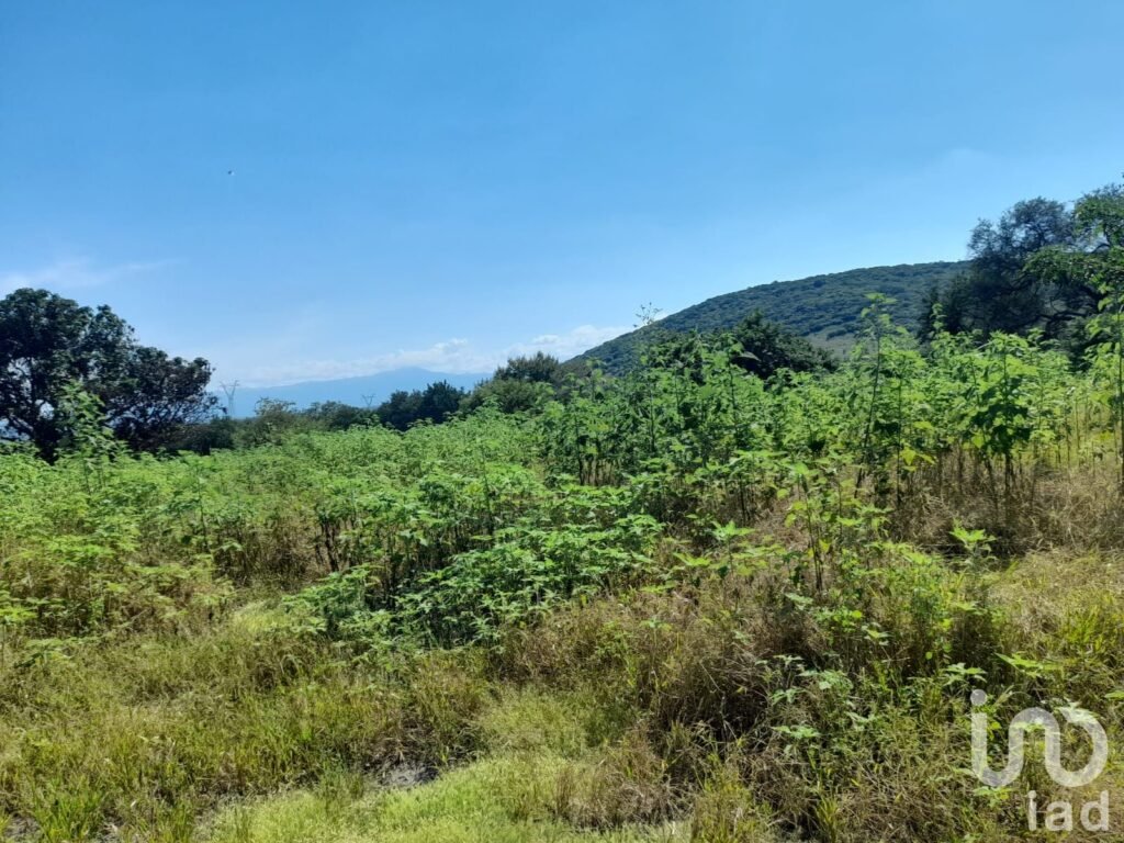 Terreno residencial en Venta Morelos