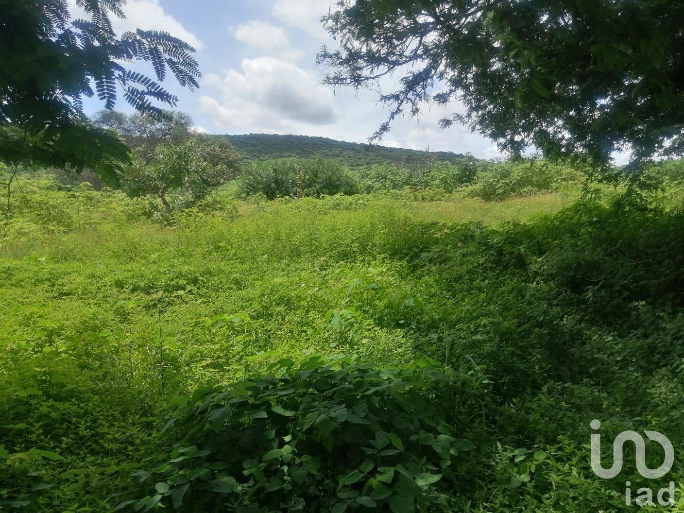 Terreno residencial en Venta Morelos Terreno residencial en Venta Morelos