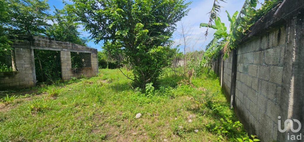 Terreno en venta en Mata Loma Veracruz