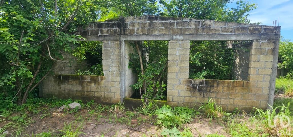 Terreno en venta en Mata Loma Veracruz