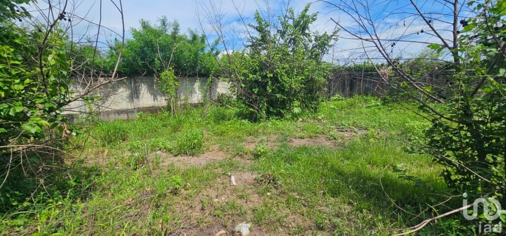 Terreno en venta en Mata Loma Veracruz