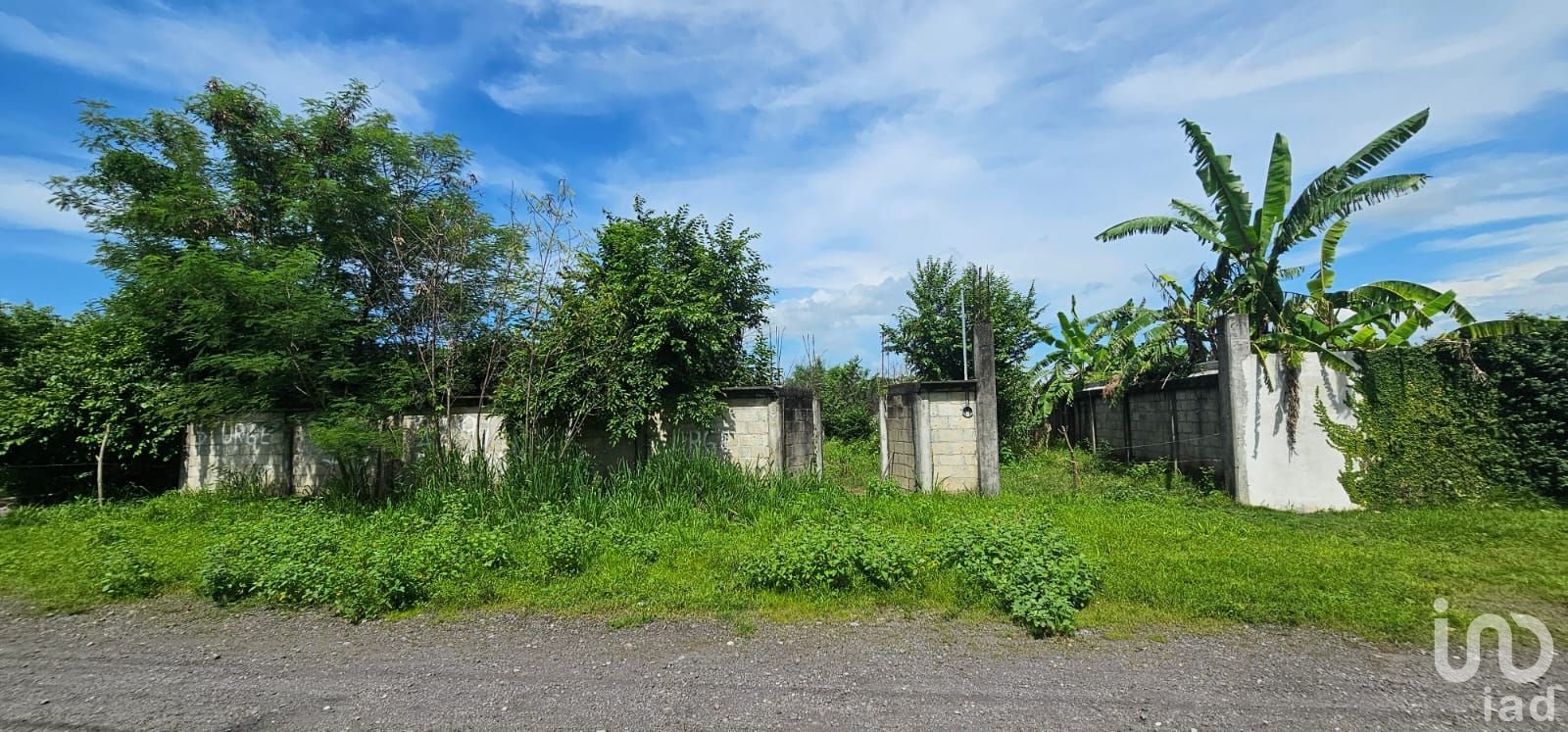 Terreno en venta en Mata Loma Veracruz