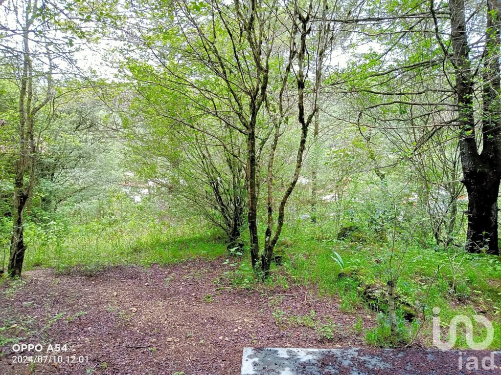 TERRENO PARA INVERSION EN CORRAL DE PIEDRA