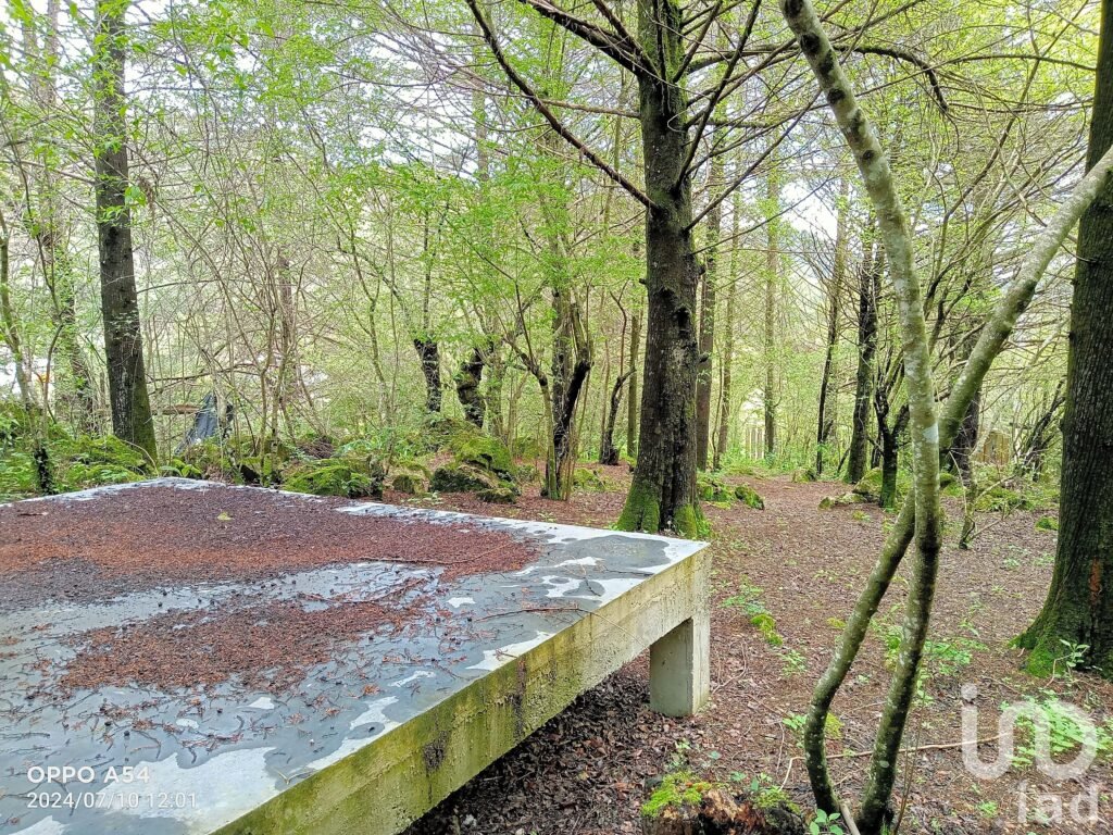 TERRENO PARA INVERSION EN CORRAL DE PIEDRA