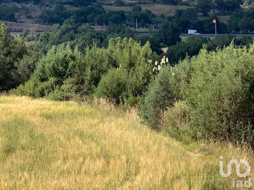 Terrreno en Venta en Tepetlaoxtoc, Texcoco, Edo de México