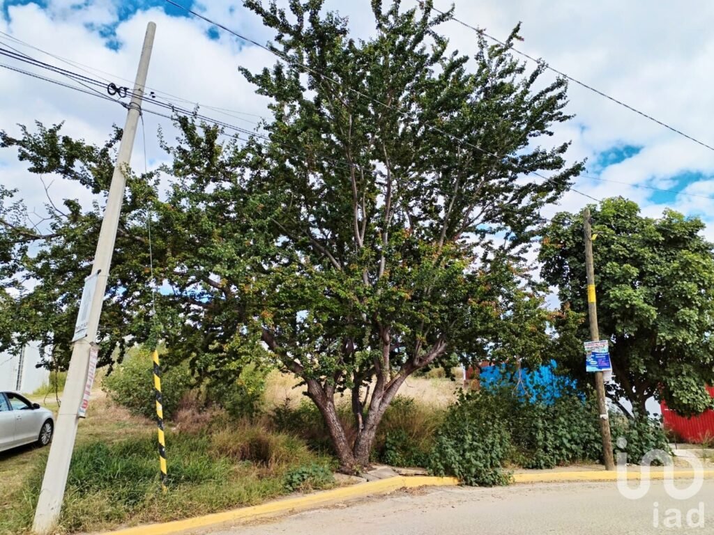 VENTA DE TERRENO EN SAN RAYMUNDO JALPAN, OAXACA