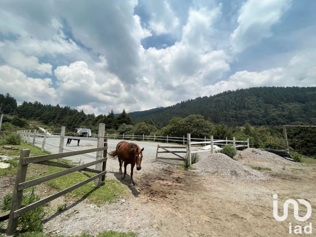 Se renta Rancho con 10 caballerizas a 20 minutos de Santa fe   en Ignacio Allende