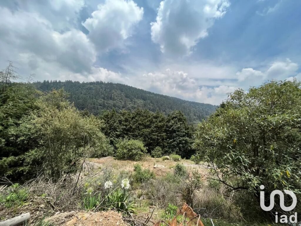 Se renta Rancho con 10 caballerizas a 20 minutos de Santa fe   en Ignacio Allende