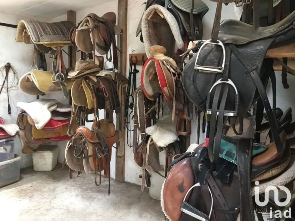 Se renta Rancho con 10 caballerizas a 20 minutos de Santa fe   en Ignacio Allende