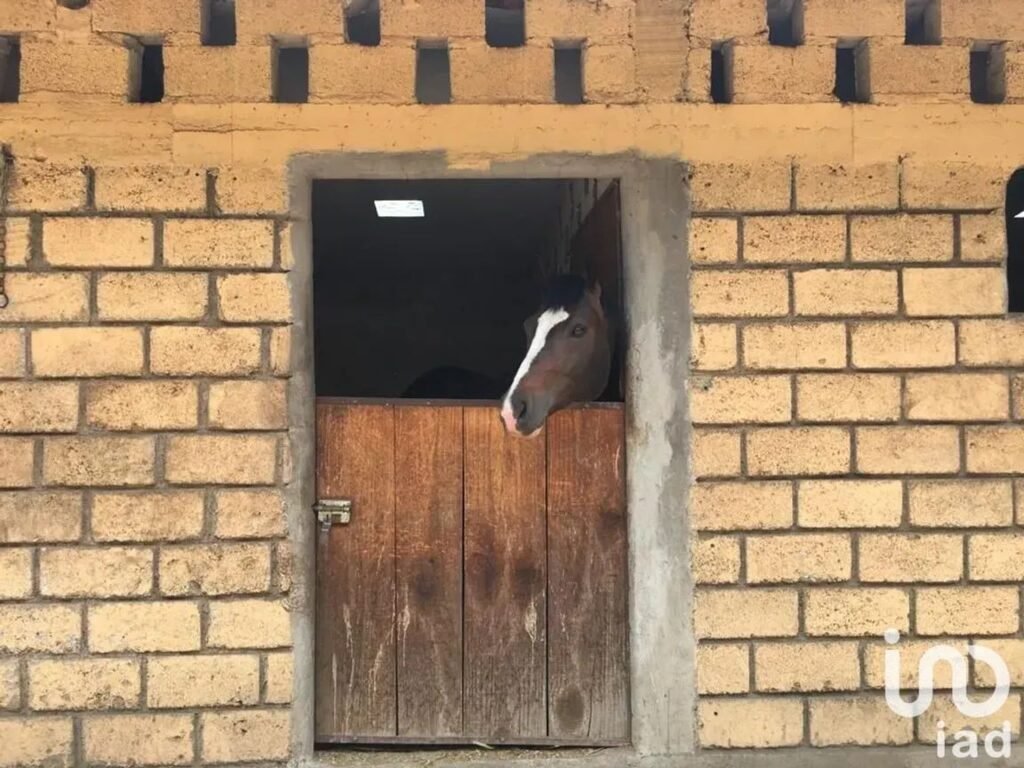 Se renta Rancho con 10 caballerizas a 20 minutos de Santa fe   en Ignacio Allende