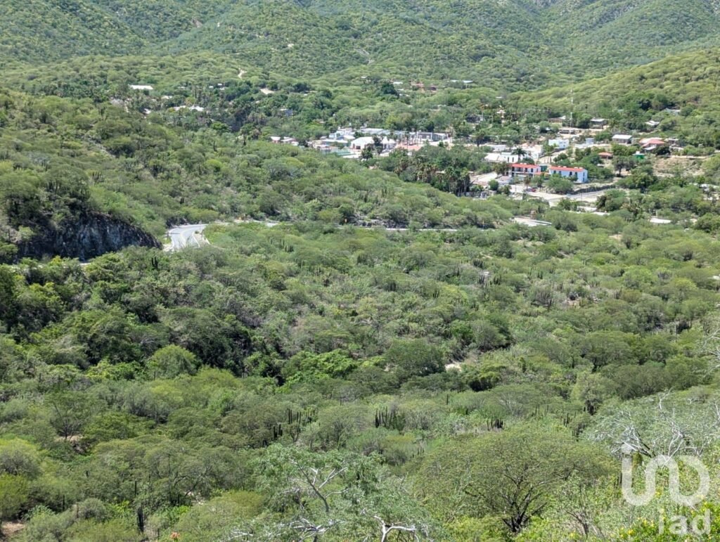 Venta de hotel boutique en San Antonio la Paz, B.C.S.