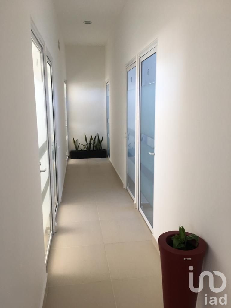 Renta de Oficina, Avenida Estado de México, Metepec, Estado de México