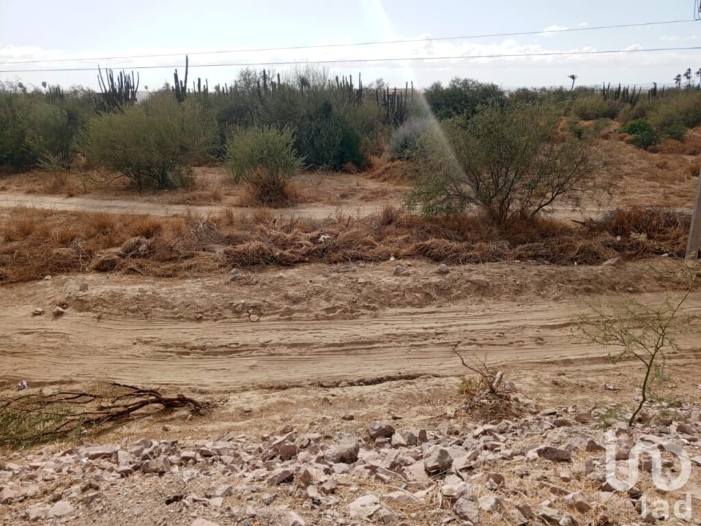 Terreno Av. Santa Ana Col. Los Americas A un costado del Libramiento Daniel Roldan
