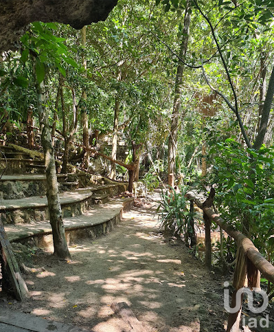 TERRENO EN VENTA EN EL PARQUE ECOLÓGICO PUEBLO SACBE, PLAYA DEL CARMEN