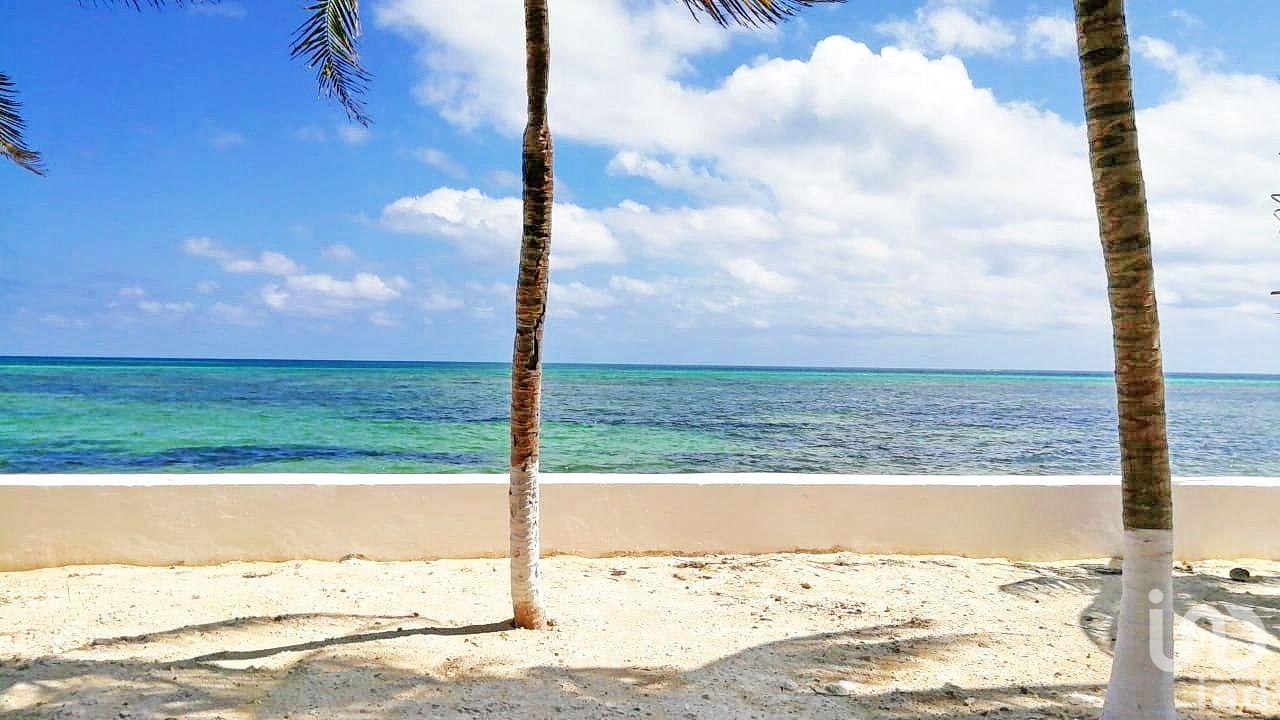 VENTA DE TERRENO BEACH FRONT – PUERTO MORELOS VENTA DE TERRENO BEACH FRONT – PUERTO MORELOS