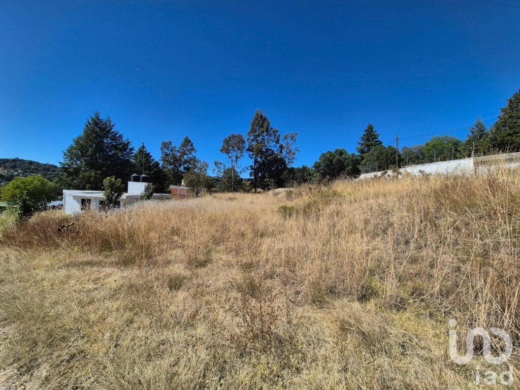 Terrenos en Venta Amaxac de Guerrero, Palo Huerfano