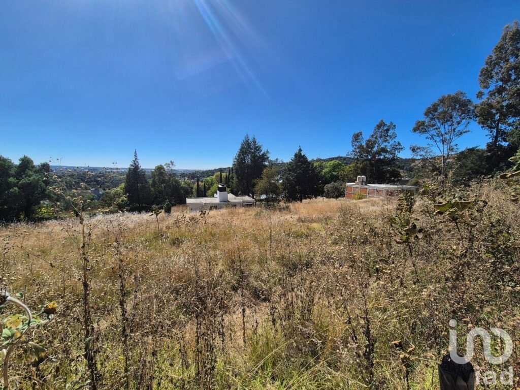 Terrenos en Venta Amaxac de Guerrero, Palo Huerfano