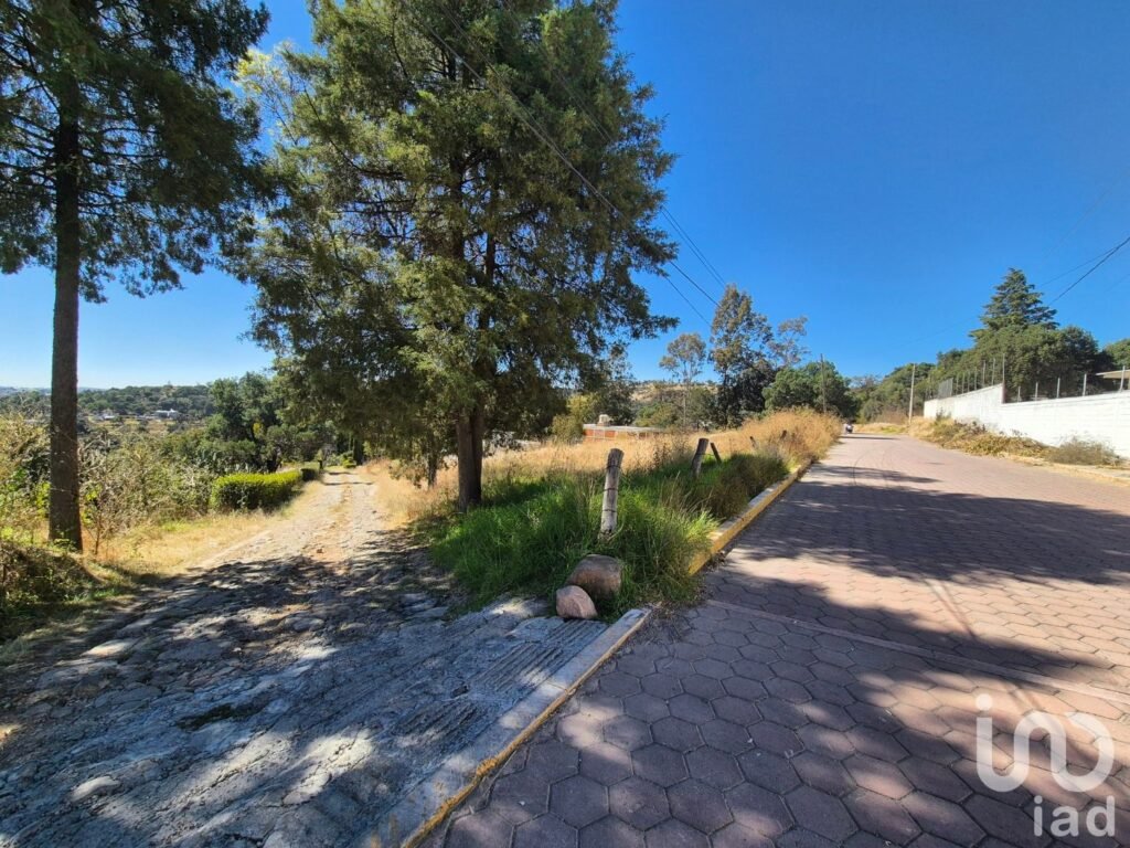 Terrenos en Venta Amaxac de Guerrero, Palo Huerfano