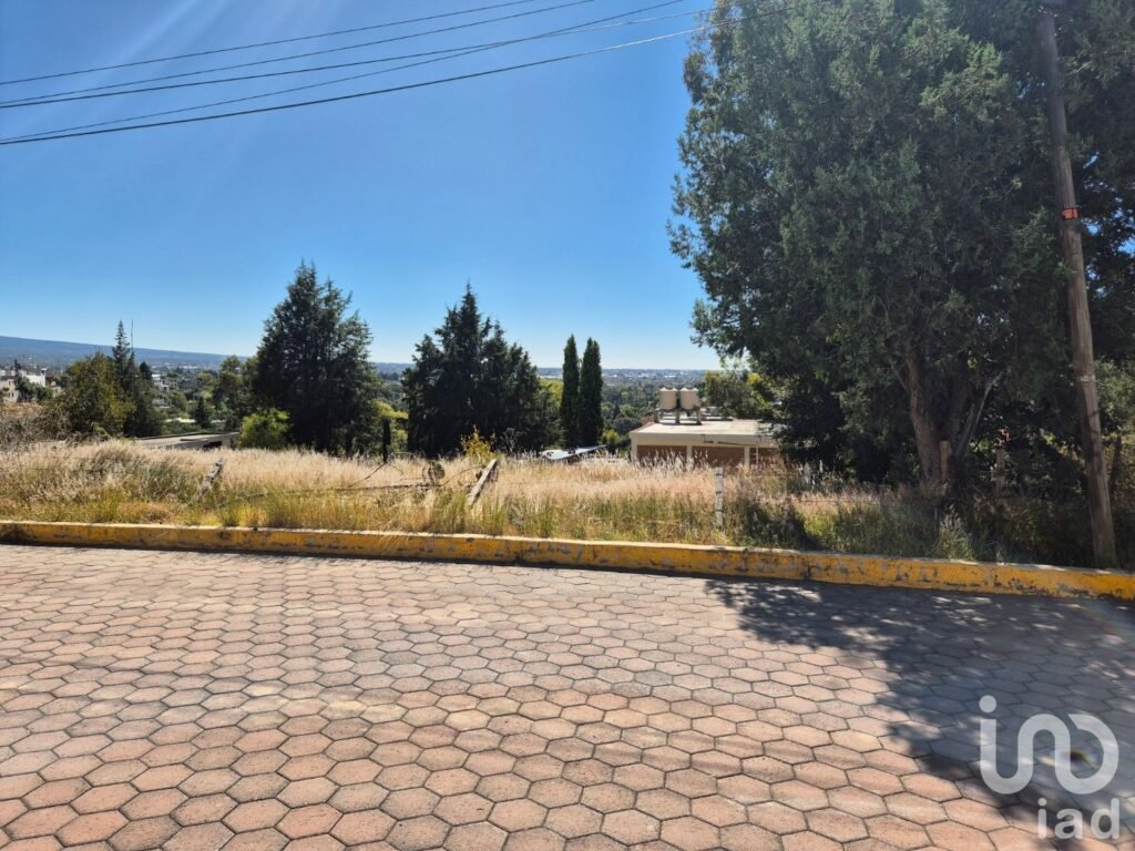 Terrenos en Venta Amaxac de Guerrero, Palo Huerfano