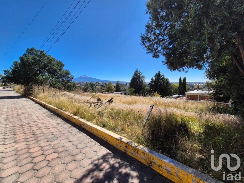 Terrenos en Venta Amaxac de Guerrero, Palo Huerfano