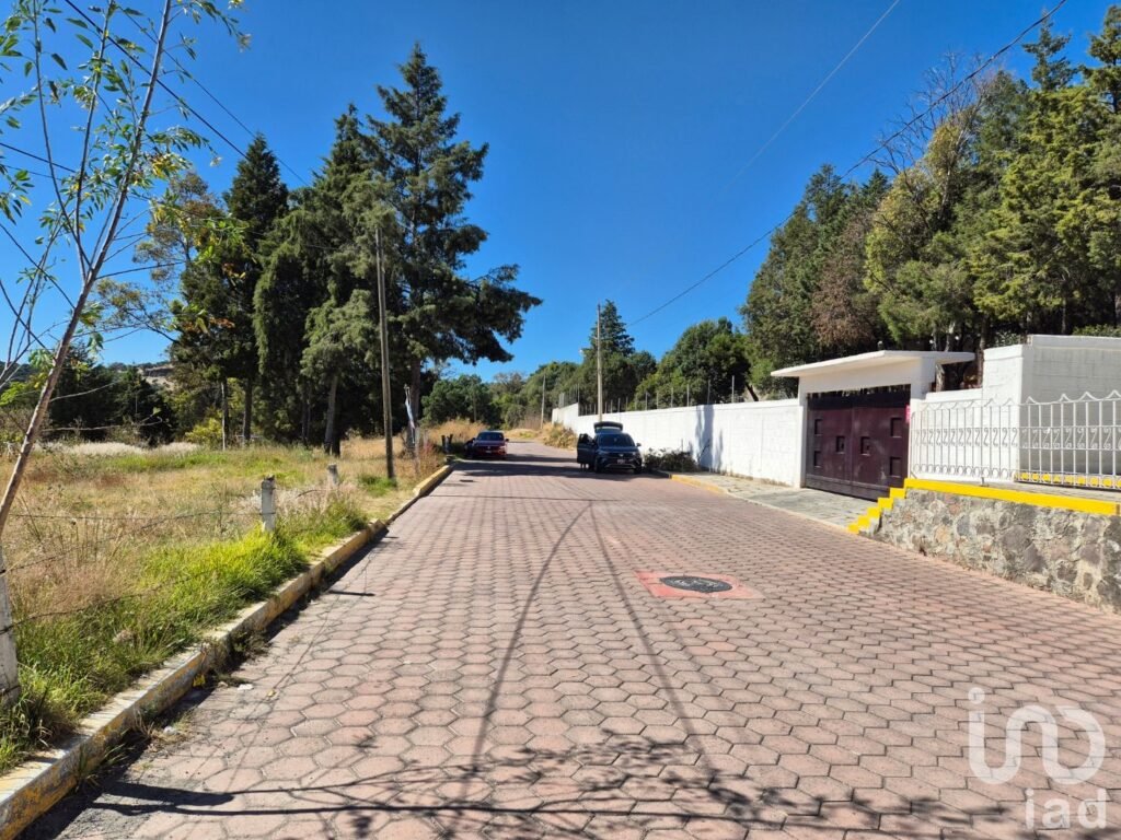 Terrenos en Venta Amaxac de Guerrero, Palo Huerfano