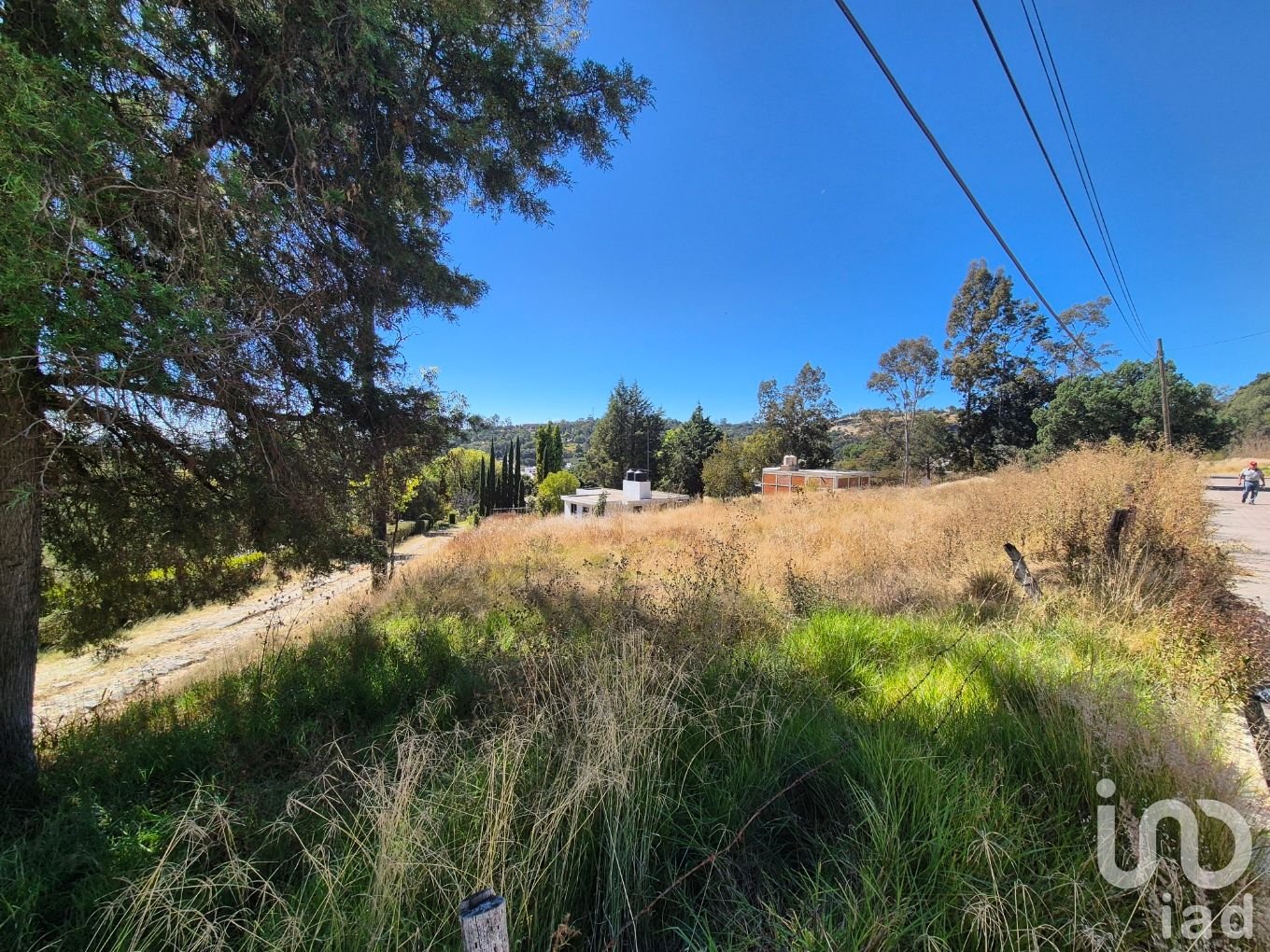 Terrenos en Venta Amaxac de Guerrero, Palo Huerfano