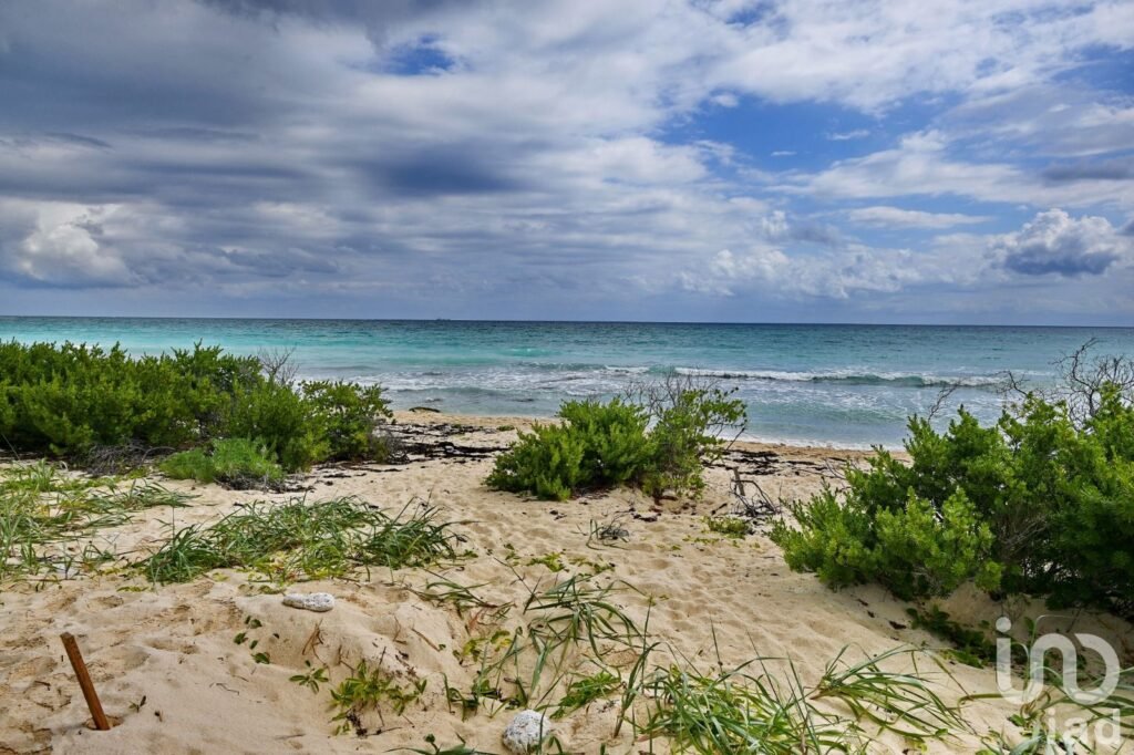 VENTA DE TERENO BEACH FRONT - PUERTO MORELOS