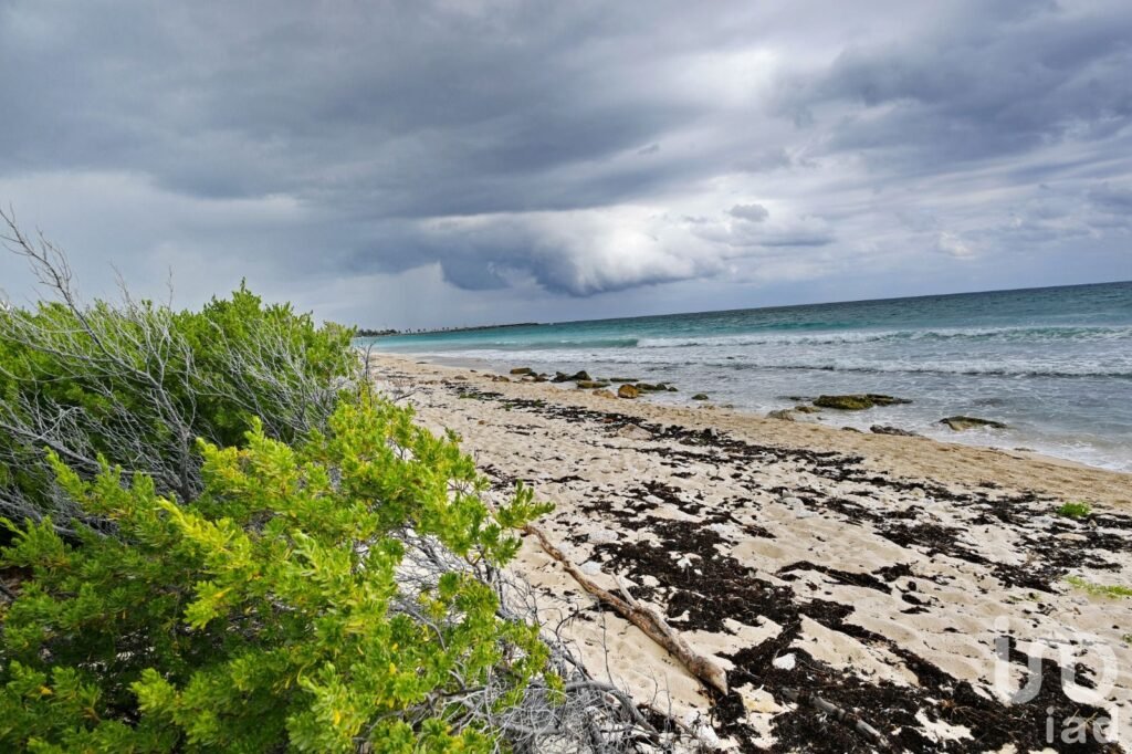 VENTA DE TERENO BEACH FRONT - PUERTO MORELOS