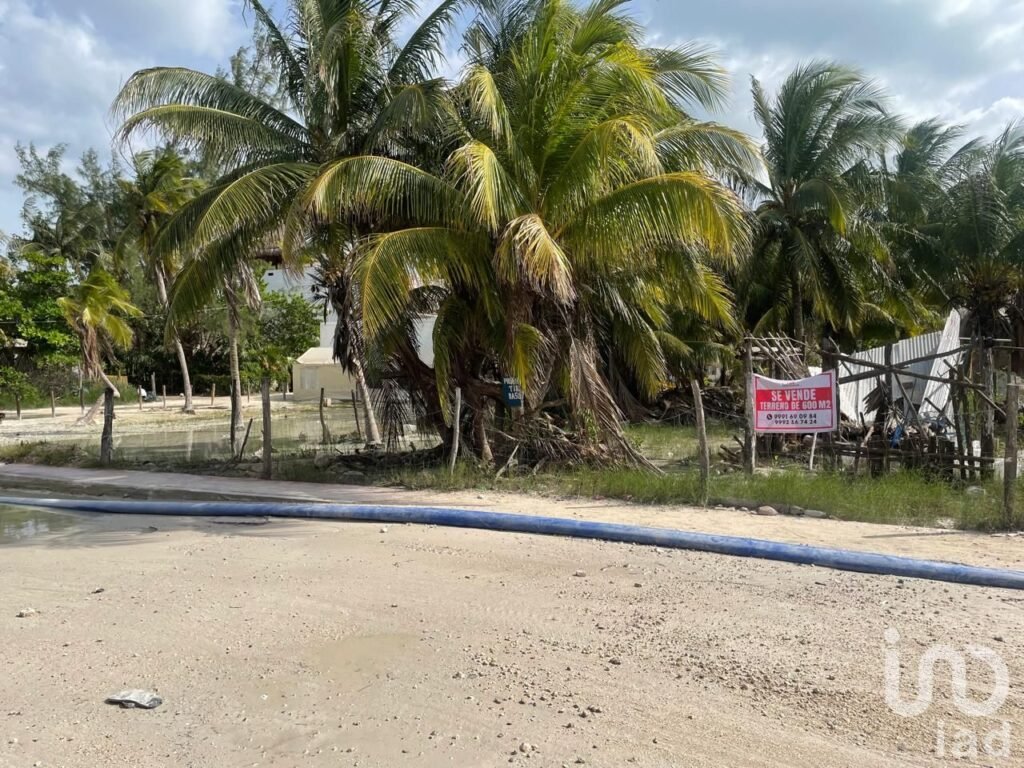 ¡¡¡ Oportunidad !!! Terreno en Isla Holbox México de 600 m²
