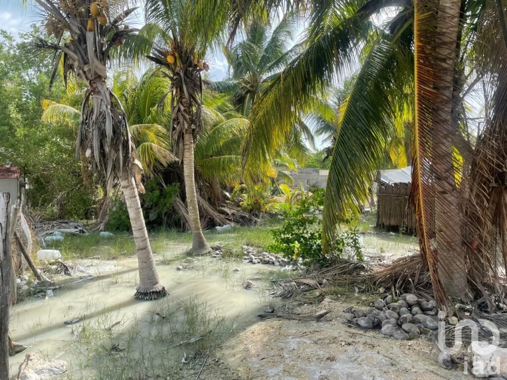 ¡¡¡ Oportunidad !!! Terreno en Isla Holbox México de 600 m²