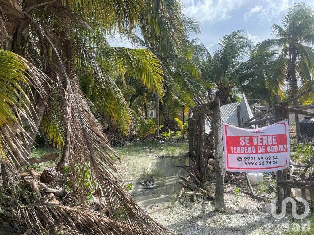 ¡¡¡ Oportunidad !!! Terreno en Isla Holbox México de 600 m²