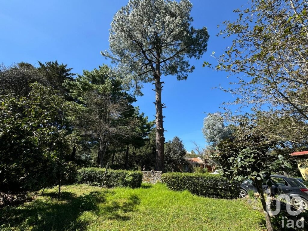 Se Vende Terreno en La Quinta San Martin, San Cristóbal de Las Casas, Chiapas