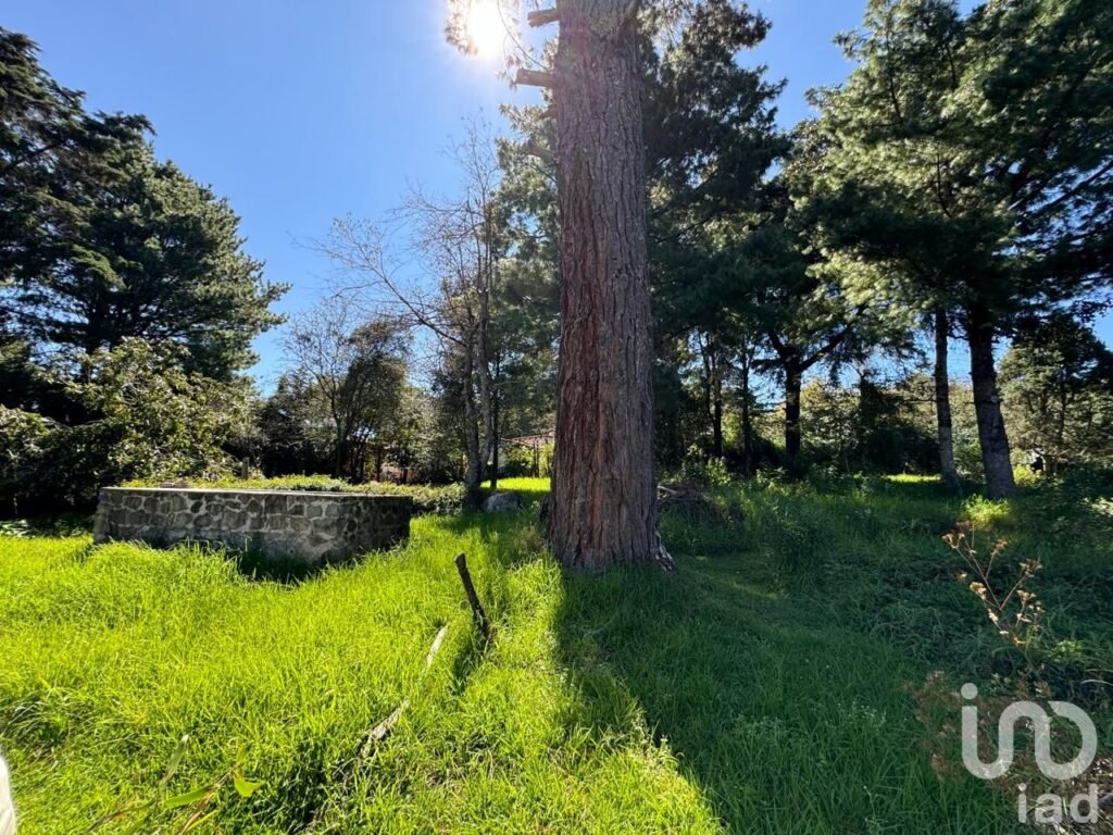 Se Vende Terreno en La Quinta San Martin, San Cristóbal de Las Casas, Chiapas