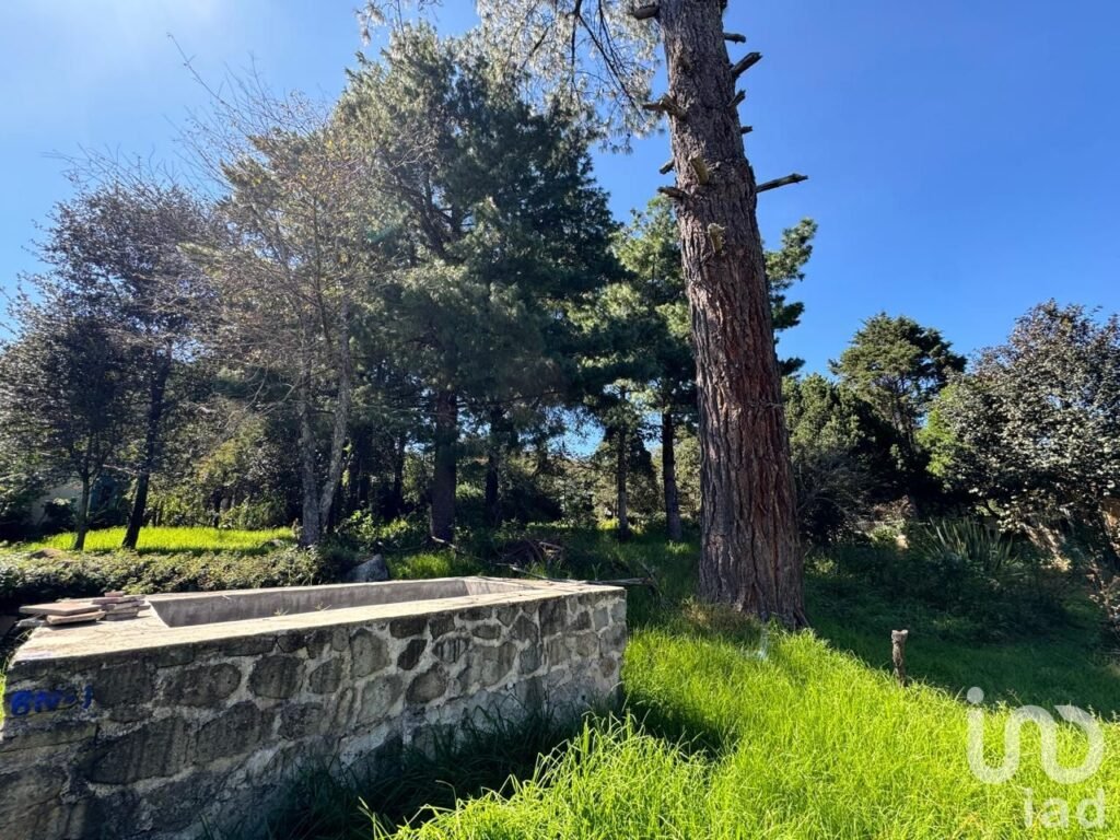 Se Vende Terreno en La Quinta San Martin, San Cristóbal de Las Casas, Chiapas