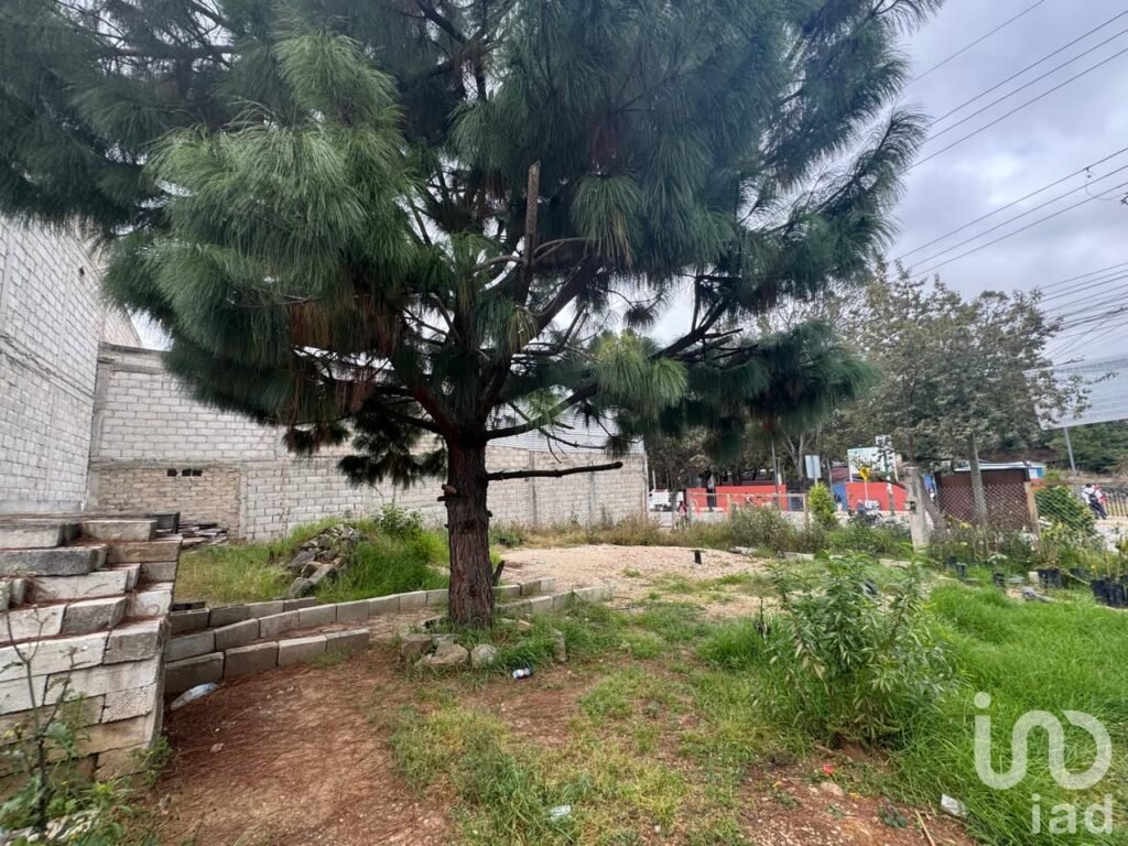 Se Renta Terreno Comercial en Marria Auxiliadora, San Cristóbal de Las Casas