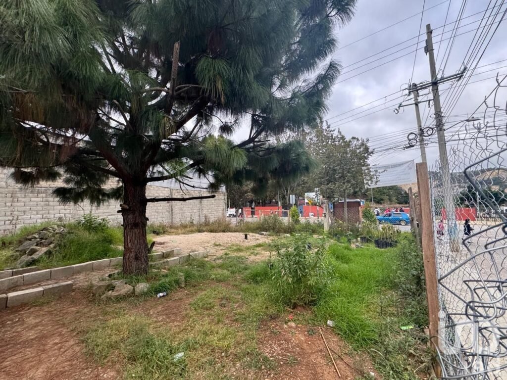 Se Renta Terreno Comercial en Marria Auxiliadora, San Cristóbal de Las Casas