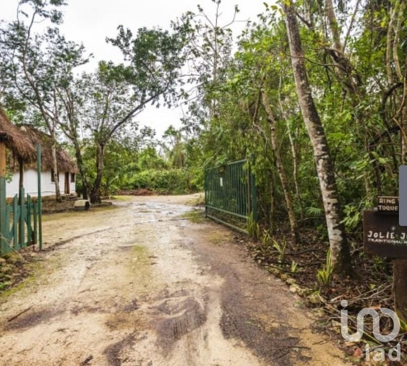 Puerto Morelos, Terreno en venta,  Quintana Roo