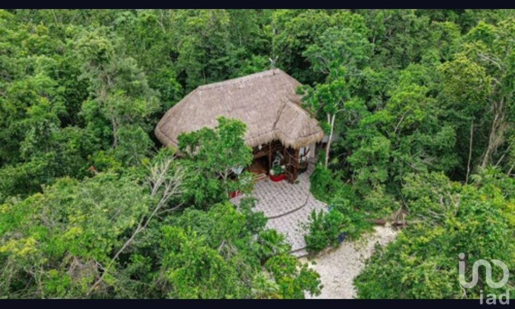 Puerto Morelos, Terreno en venta,  Quintana Roo