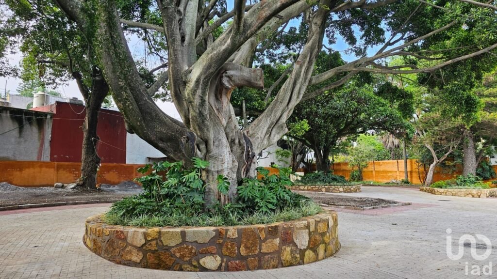 Preventa Lote en Zona Norte Cuernavaca, Morelos