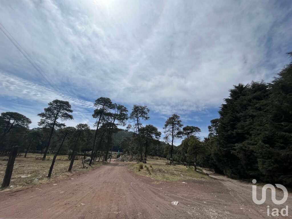 Se vende Rancho "Las Castañas " en el Ajusco