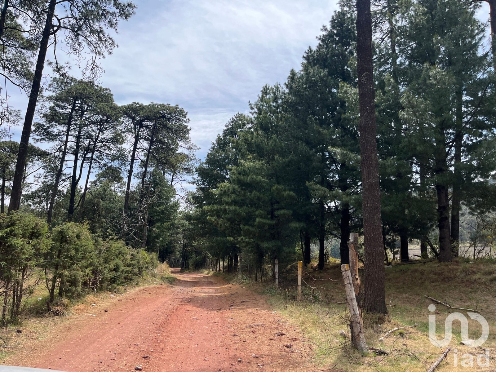 Se vende Rancho "Las Castañas " en el Ajusco