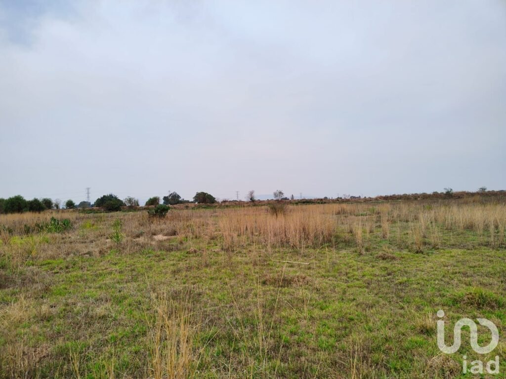 TERRENO EN VENTA CERCA DEL AEROPUERTO DE CDMX EN TEXCOCO MEXICO