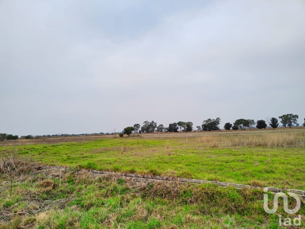 TERRENO EN VENTA CERCA DEL AEROPUERTO DE CDMX EN TEXCOCO MEXICO