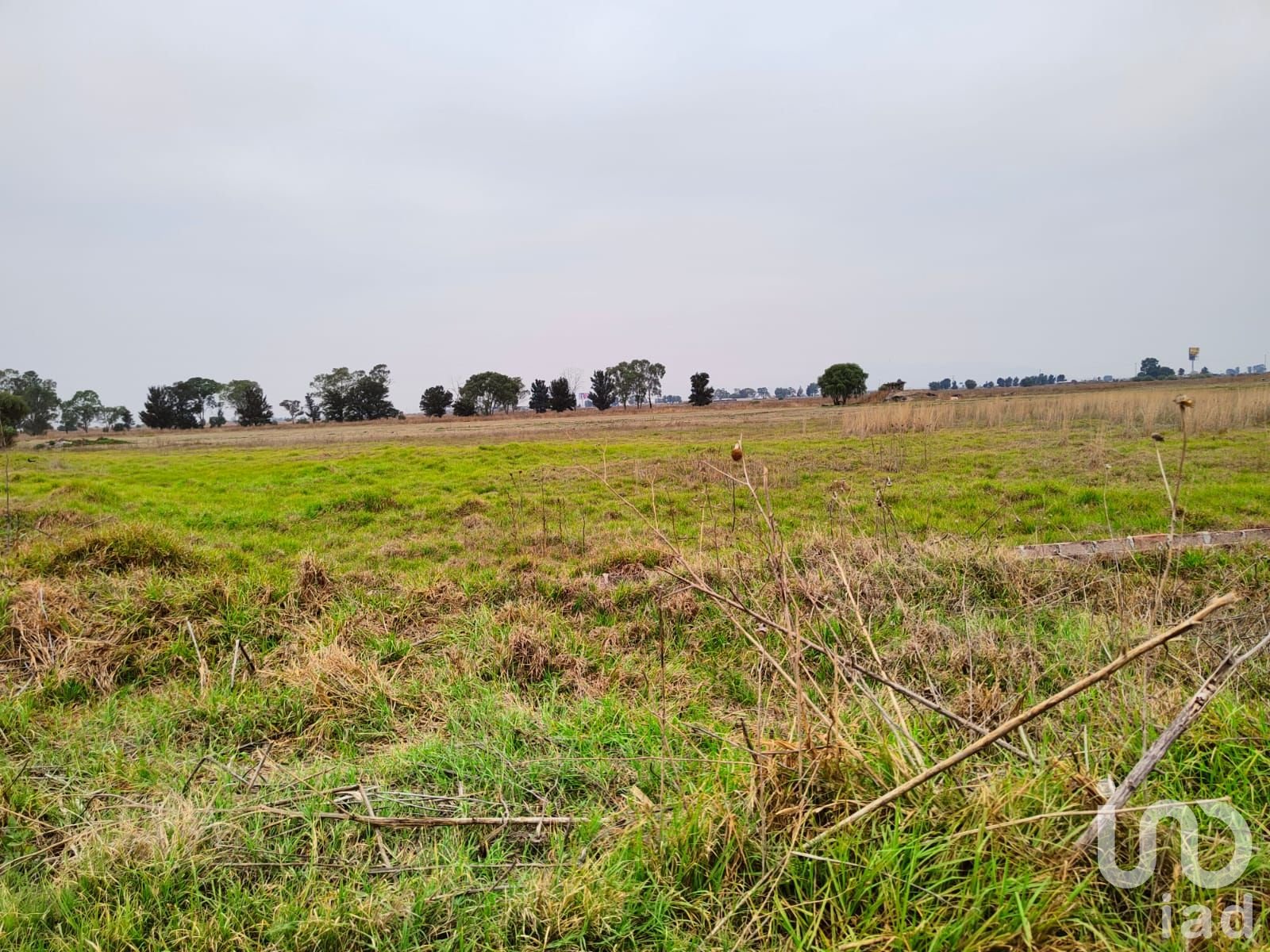 TERRENO EN VENTA CERCA DEL AEROPUERTO DE CDMX EN TEXCOCO MEXICO