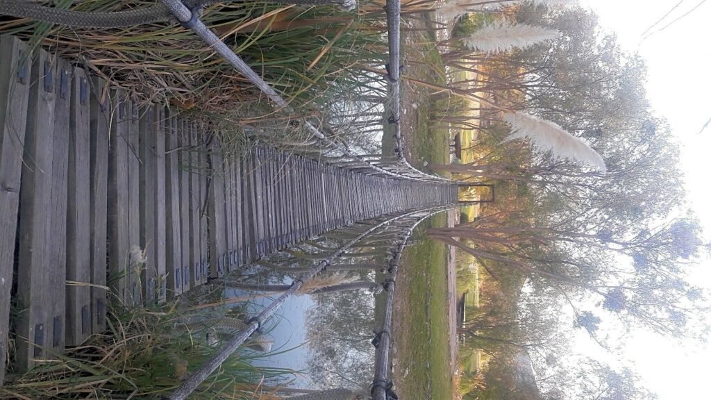 Terreno en venta en Querétaro El Encino cerca de Centro Sur