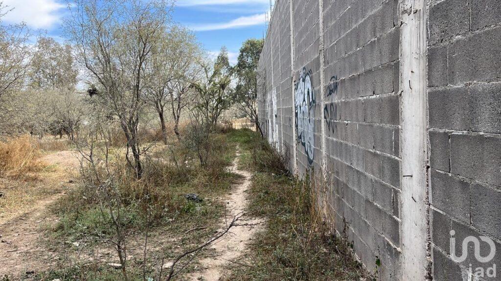 Terreno Panfilo Natera