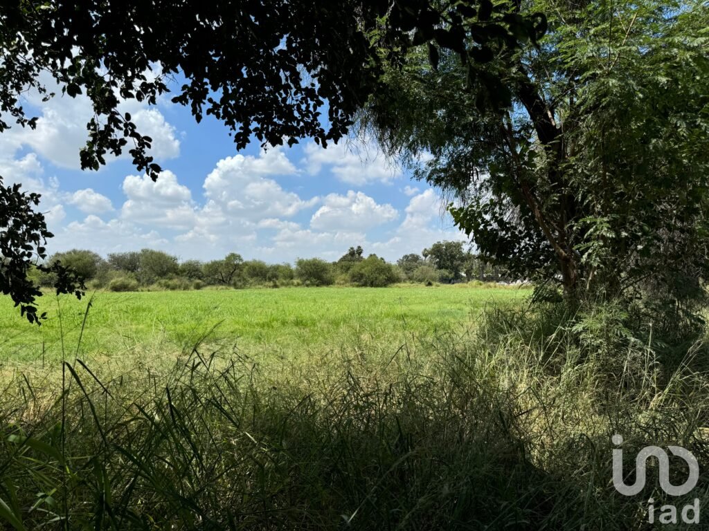 2 Terrenos de 6500m2 c/u en excelente ubicación en $97,500 c/u
