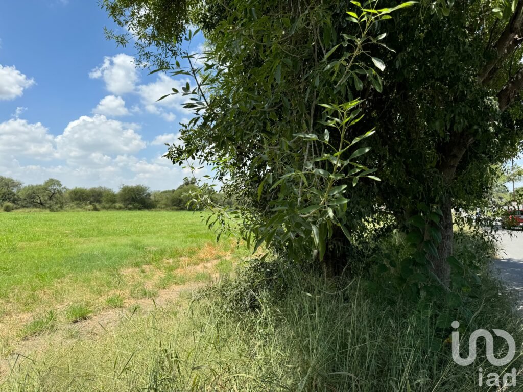 2 Terrenos de 6500m2 c/u en excelente ubicación en $97,500 c/u