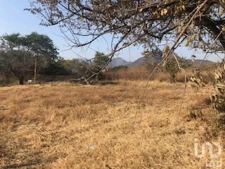 TERRENO ESCRITURADO EN CARRETERA YAUTEPEC-TLAYACAPAN. PREDIO LAS PALOMAS.
