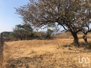 TERRENO ESCRITURADO EN CARRETERA YAUTEPEC-TLAYACAPAN. PREDIO LAS PALOMAS.